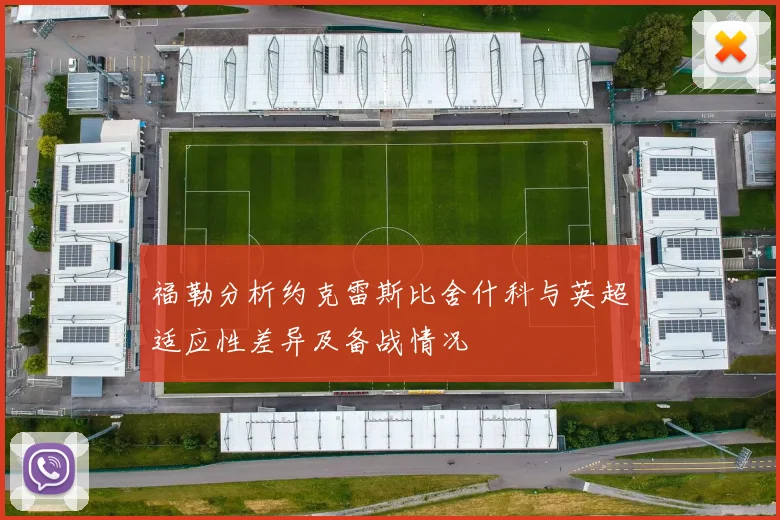 福勒分析约克雷斯比舍什科与英超适应性差异及备战情况