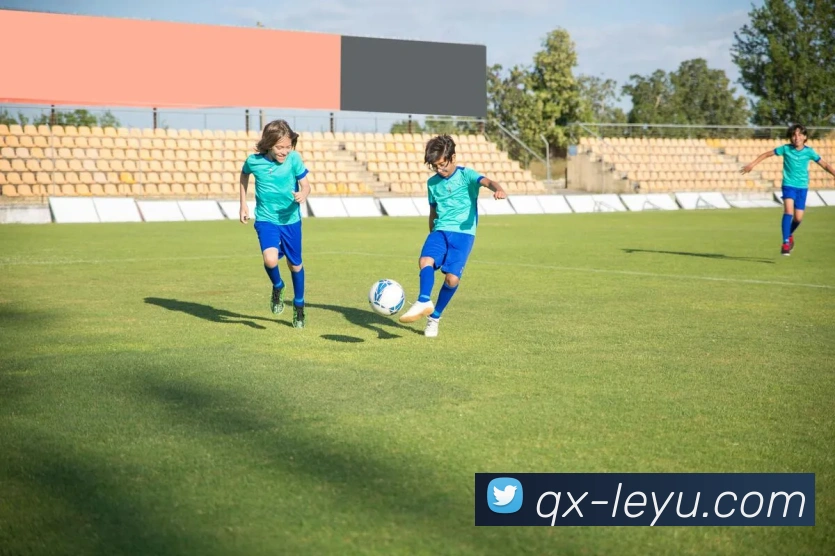 乐鱼体育发展历程