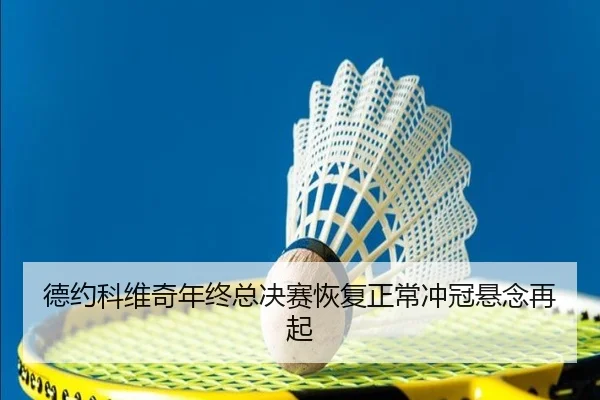 德约科维奇年终总决赛恢复正常冲冠悬念再起 - leyu